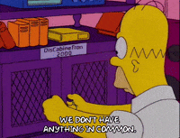 homer simpson GIF