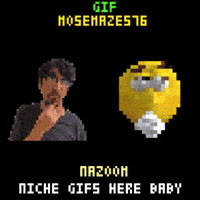 Nazoom GIF