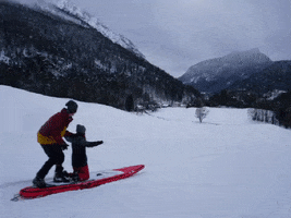 Soulride fail positive sup trees GIF