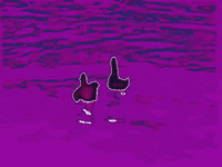 art colors GIF by MFD