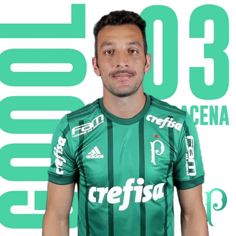 GIF by SE Palmeiras