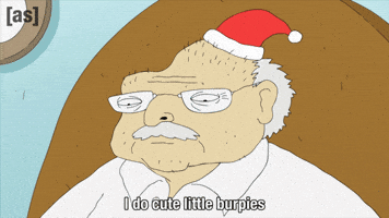 Santa Hat Yolo GIF by Adult Swim