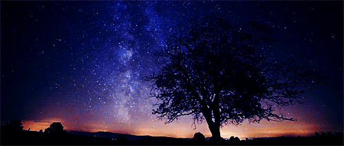 peaceful GIF