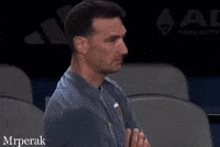 World Cup Fans GIF