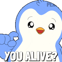 Wake Up Hello Sticker by Pudgy Penguins