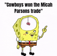 Green Bay Packers GIF