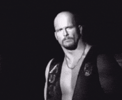 Steve Austin Wwe GIF