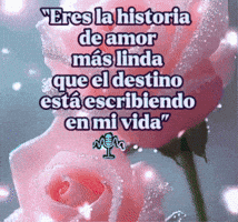 De Amor Rosa GIF by Murcianys LLC