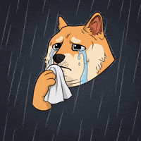 Sad Shiba Inu GIF by Doge Pound