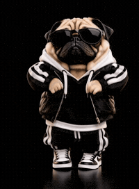Dance Dancing GIF