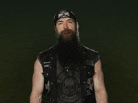 Fight Me Rock N Roll GIF by Zakk Wylde