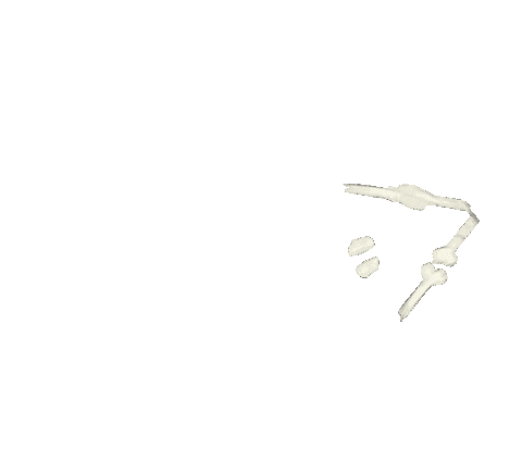 bones triangle Sticker by Peter Bjorn and John