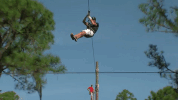 vacation florida GIF