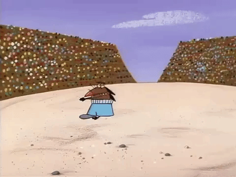 nickrewind giphydvr nicksplat angry beavers giphyab005 GIF