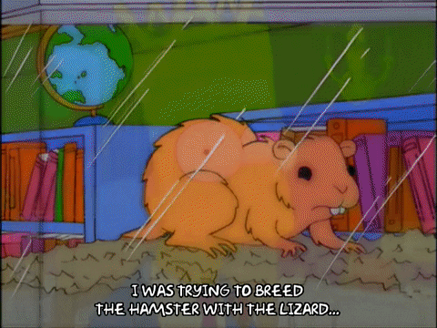 bart simpson hamster GIF