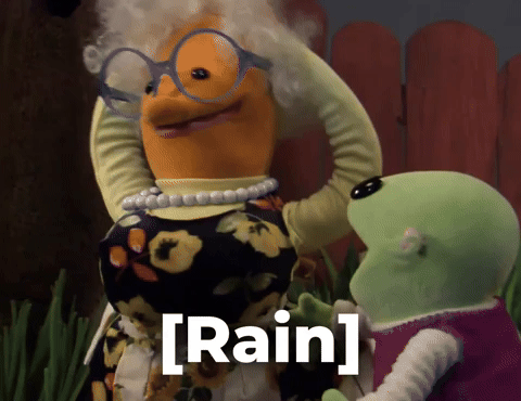 Rain