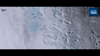 GIF by euronews
