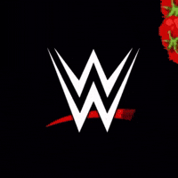 John Cena Wwe GIF