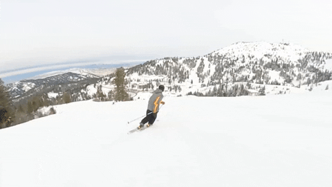 GIF by bogus basin