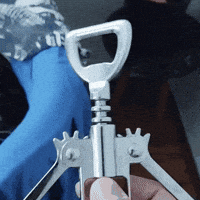 Treminko treminko yipeeeee GIF