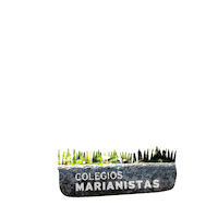 smmcrea deporte balonmano olimpiada marianistas Sticker