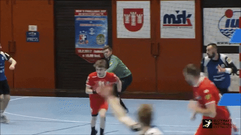 kempa kralik GIF