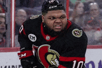 Ottawa Senators Hockey GIF
