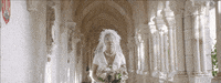 Wedding Love GIF by Maluma