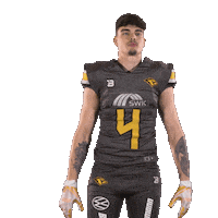 Football Sport Sticker by Krefeld Ravens
