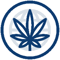 line map Sticker by AWE Collective