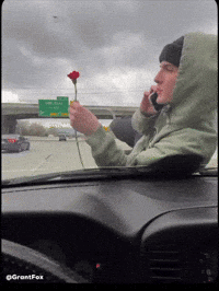 Rose GIF