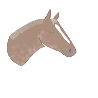 Horse Pony Sticker by winterlichtmalerei
