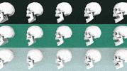 Infinite Loop Skull GIF by CmdrKitten