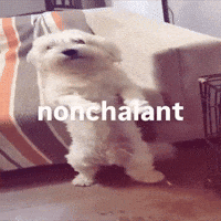 Nonchalant GIF