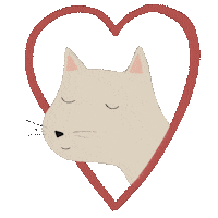 Cat Sticker