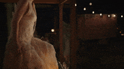 Willow GIF by Taylor Swift
