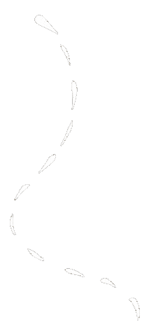 Travel Adventure Sticker by South African Tourism