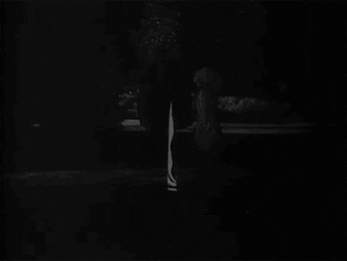 bela lugosi art GIF by hoppip