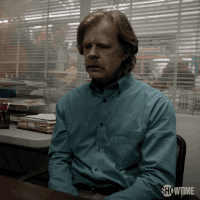 episode 2 showtime GIF by Shameless
