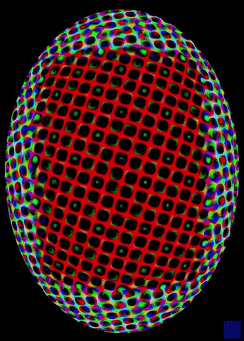 digital art animation GIF by The New Big Poppa E