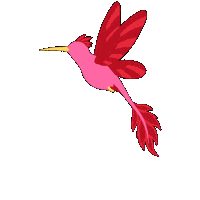 Bird Sticker