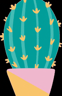 kaygtz1313 cactus nala makenalaup make nala up GIF