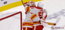 Ice Hockey Hug GIF by NHL