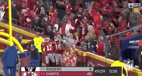 Regular Season Football GIF by NFL