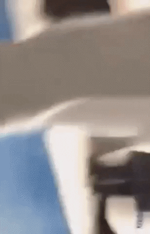 skagk giphyupload GIF