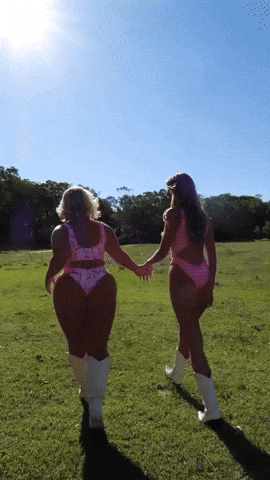 vilecoyote giphyupload GIF