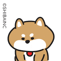 V Win Sticker by SHIBAINC