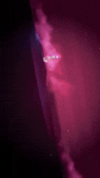 Netflix Mira GIF by Youtooz