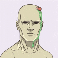 No Way Seriously GIF by The LSD Hotel
