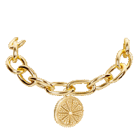 Blinged Out Chicken Wings Sticker by Henrietta Said